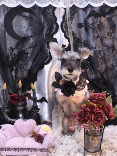 20231025むぎちゃん